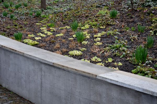 Concrete Wall Construction in La Porte