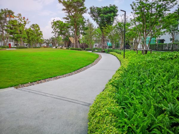 Cement Walkway Service in La Porte